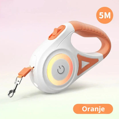 Dog Leash with Integrated LED Light