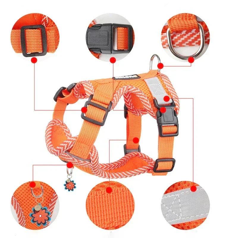 Reflective Harness With Leash For Small Dogs