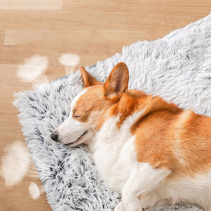 Soft Paw Mat