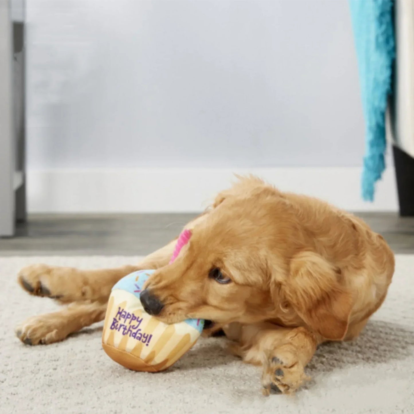 Birthday Dog Toys Set – Plush Cake, Cupcake & Bone with Squeaky Function