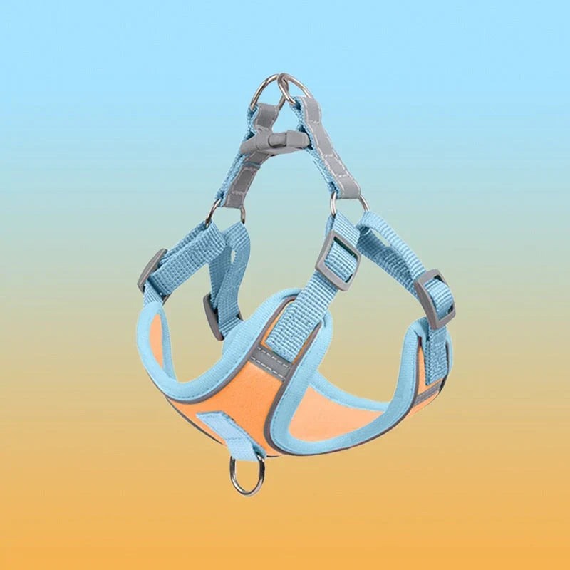 Reflective Dog Harness Set