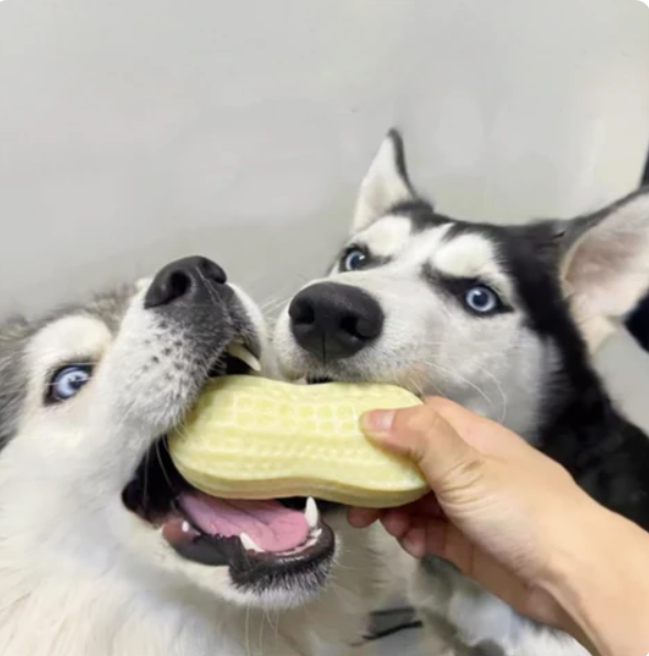 Peanut Shaped Dog Chew Toy, Dental Cleaning