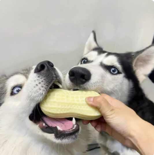 Peanut Shaped Dog Chew Toy, Dental Cleaning