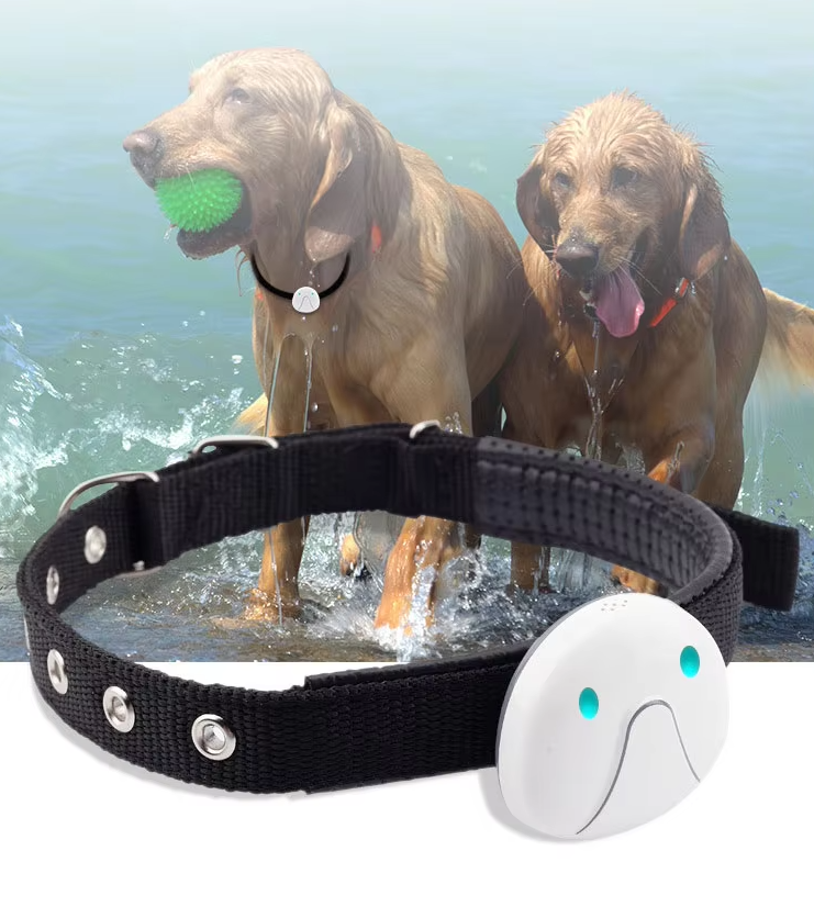 Dog Collar with GPS Tracker – Easy to Attach and Reliable