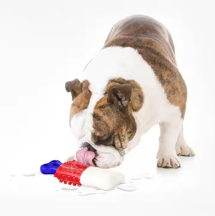 Chew Toys for Dogs - Interactive Toys with Suction Function for Dental Hygiene