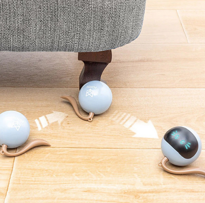 Interactive Cat Toy with LED Lights - Ball-Shaped Toy for Cats