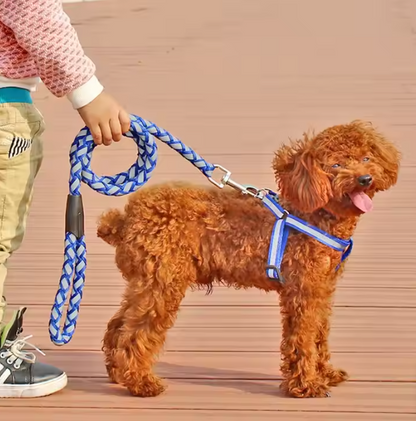 Reflective Dog Harness with Leash