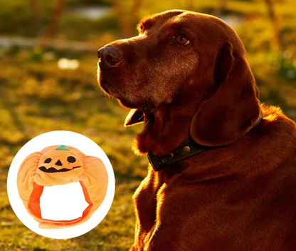 Halloween Pumpkin Costume for Dogs