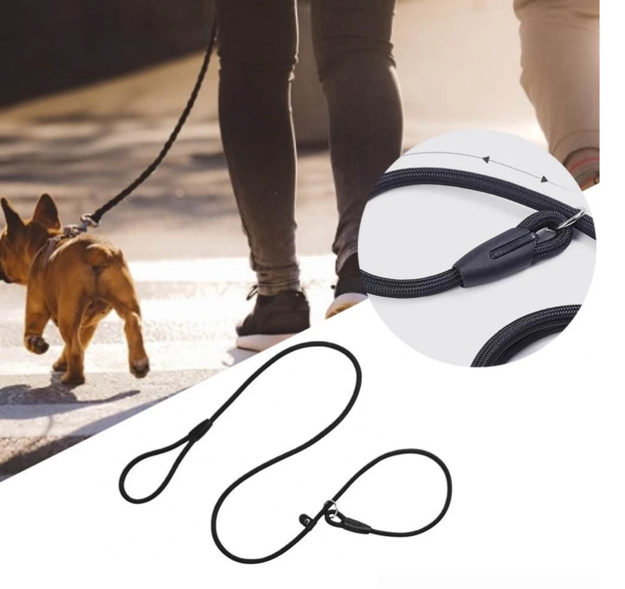 Durable Dog Leash with Carabiner for a Safe Walk