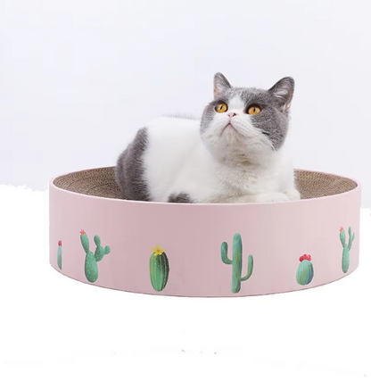 Cardboard Loop for Cats with Cactus Design - Modern Style Scratcher