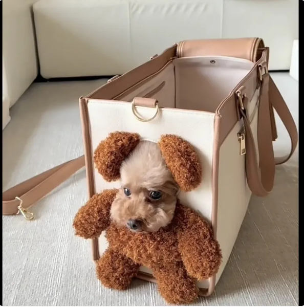 Elegant Handbag for Pets - Portable Carrier Bag for Small Dogs and Cats