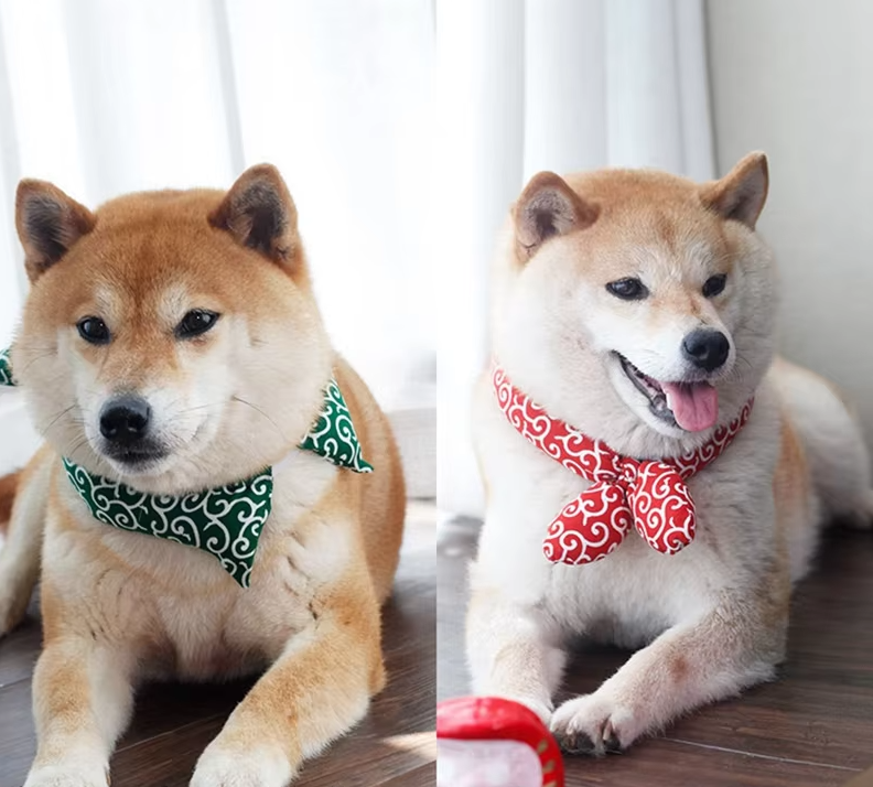 Cooling Dog Collar with Traditional Pattern for Hot Days