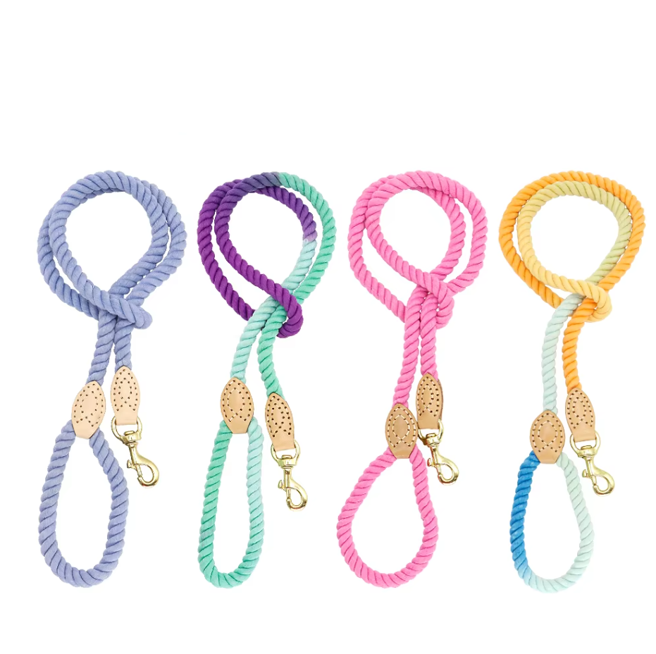 Cotton Spiral Leash for Dogs with Carabiner