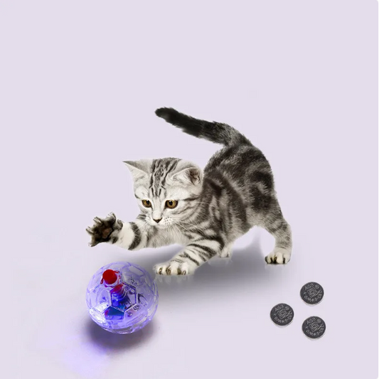 Glow Football Toy for Dogs - Interactive Ball Toy with LED Lights