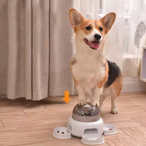 Dog Food Dispenser with Transparent Compartment – Easy to Refill and See the Food