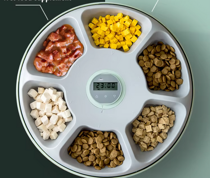 Automatic Pet Bowl – Digital Food Dispenser in Various Colours