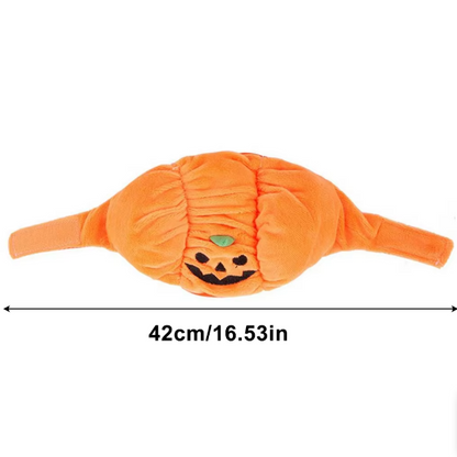 Halloween Pumpkin Costume for Dogs