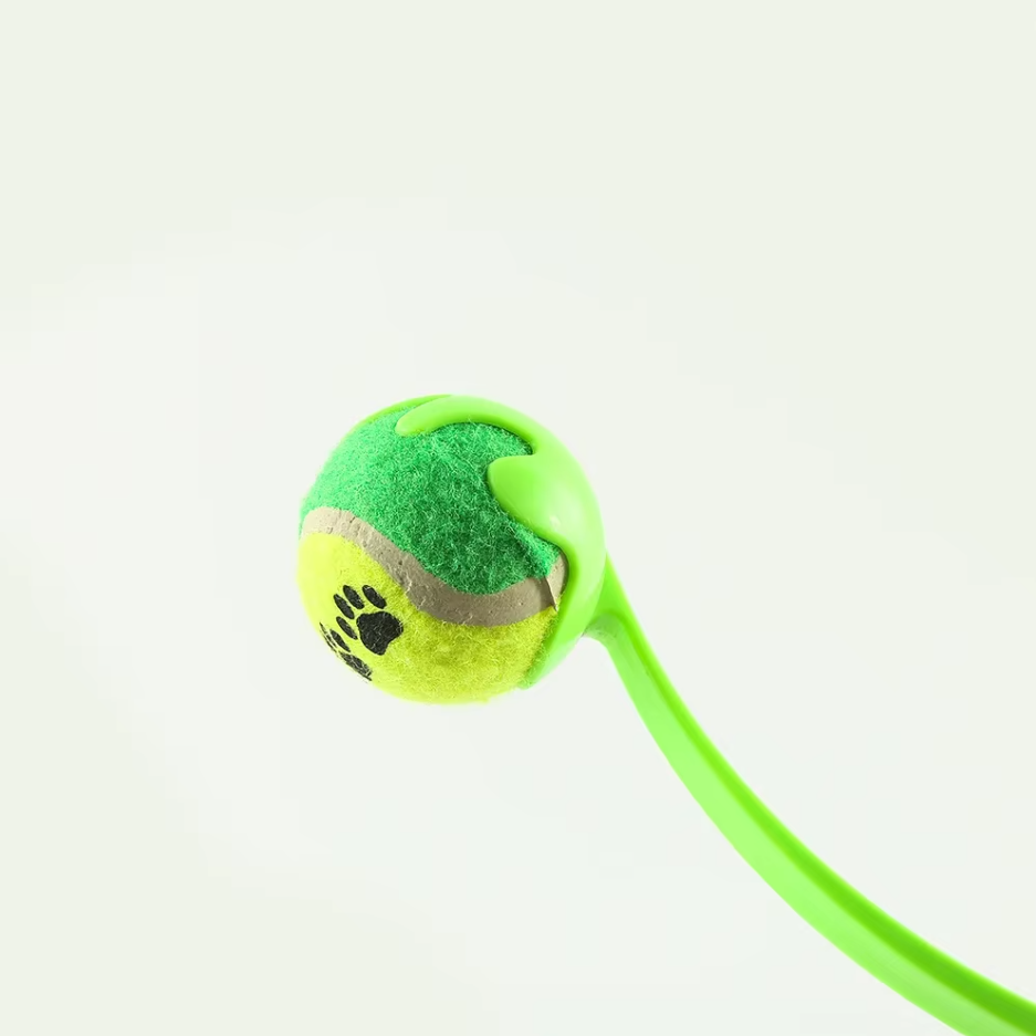 Toys with Ball and String – Interactive Throwing Kit for Children
