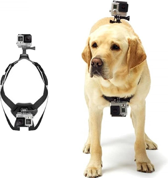 Action Camera Harness for Dogs with Chest and Back Mount Support