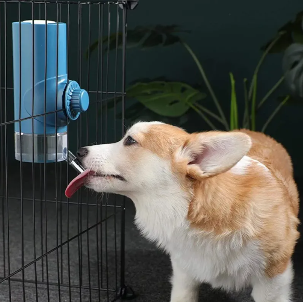 500ml Pet Bottle – Automatic Water Dispenser