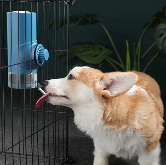 500ml Pet Bottle – Automatic Water Dispenser
