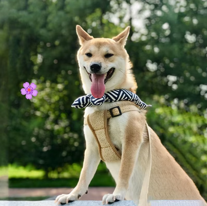 Cooling Dog Collar with Traditional Pattern for Hot Days