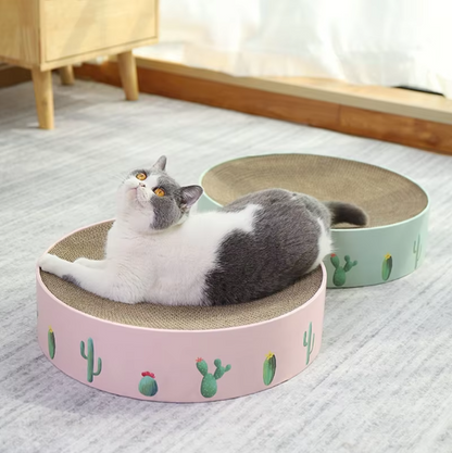 Cardboard Loop for Cats with Cactus Design - Modern Style Scratcher