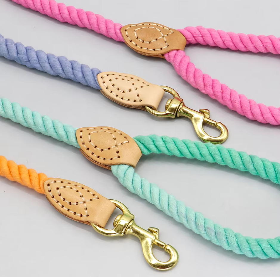 Cotton Spiral Leash for Dogs with Carabiner