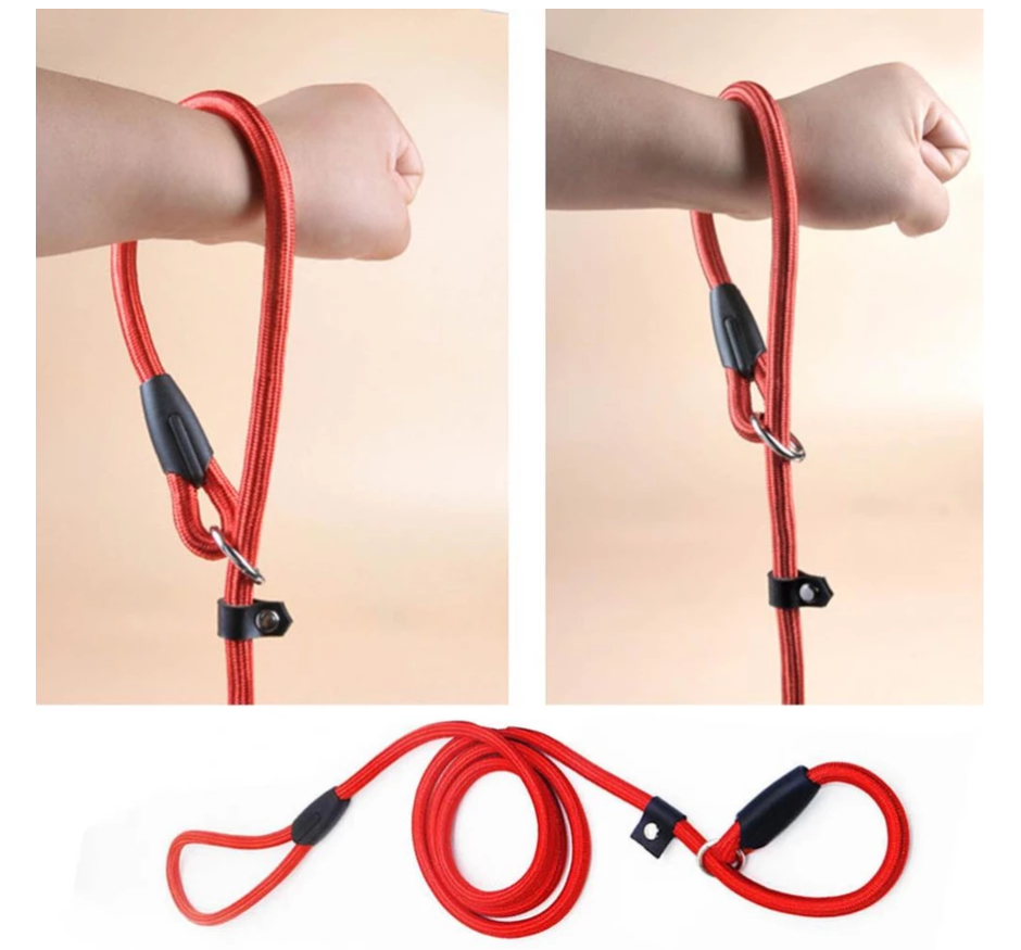 Durable Dog Leash with Carabiner for a Safe Walk