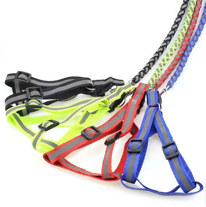 Reflective Dog Harness with Leash