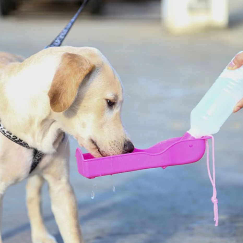 Portable Dog Water Bottle with Built-In Bowl – Perfect for On-the-Go