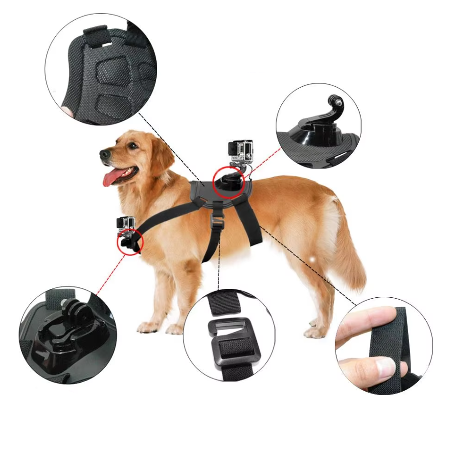 Action Camera Harness for Dogs with Chest and Back Mount Support