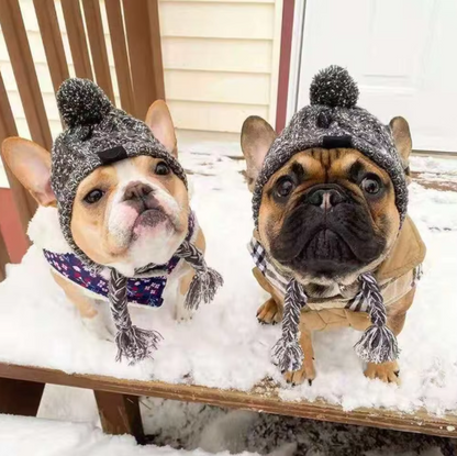 Stylish Dog Cap with Pom Pom – Warm Winter Hat for Small Dogs