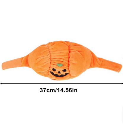 Halloween Pumpkin Costume for Dogs
