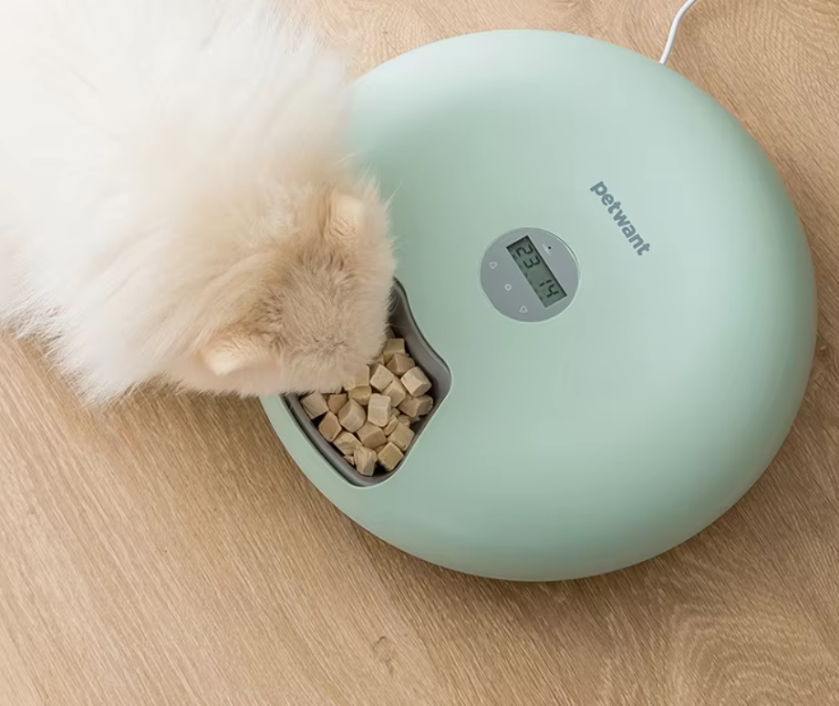 Automatic Pet Bowl – Digital Food Dispenser in Various Colours