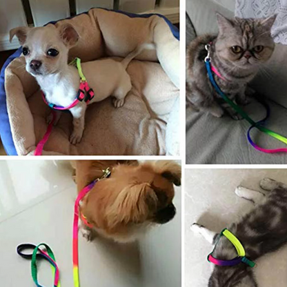 Coloured Harness with Adjustable Leash for Dogs