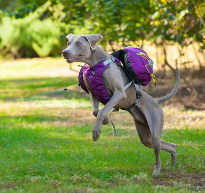 Dog Hiking Backpack with Waterproof Pockets - Portable Stretcher for Dogs for Outdoor Activities