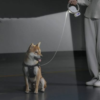 Dog Leash with LED Light and Expandable Mechanism for Safe Walks