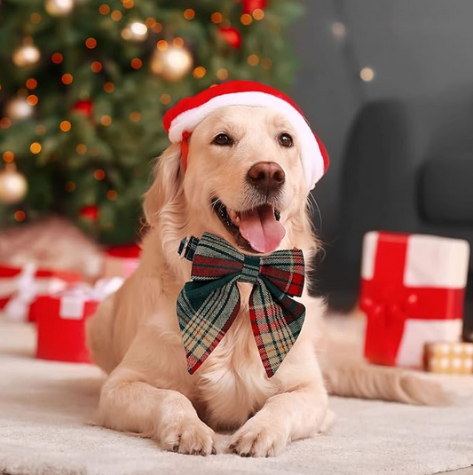 Dog Collar with Checkered Pattern and Bow for Christmas and Festive Occasions