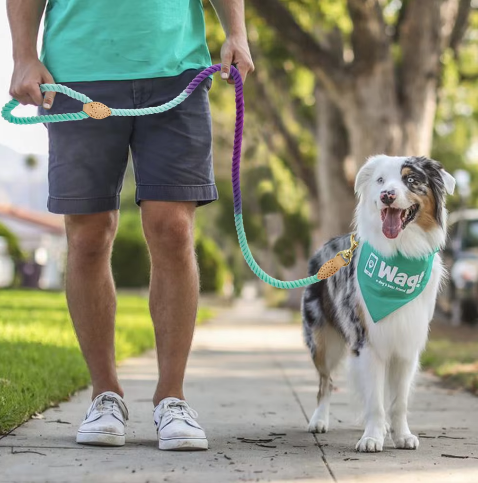 Cotton Spiral Leash for Dogs with Carabiner