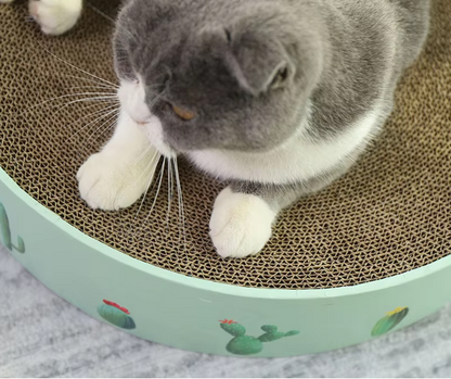 Cardboard Loop for Cats with Cactus Design - Modern Style Scratcher