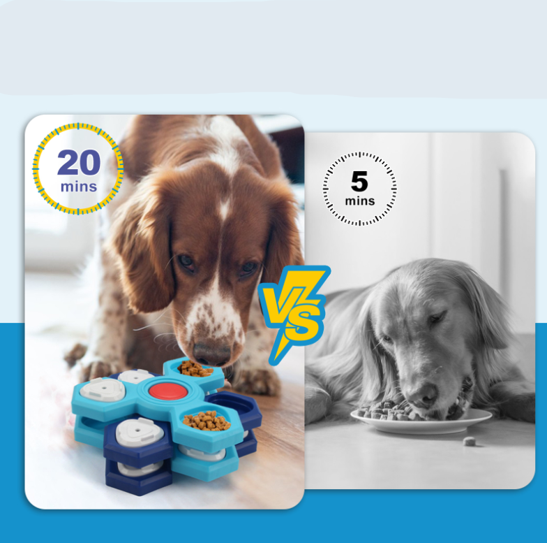Interactive Dog Toys - Food Puzzle to Stimulate the Mind and Aid Digestion