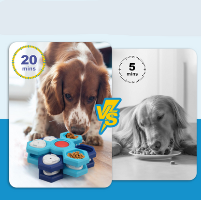 Interactive Dog Toys - Food Puzzle to Stimulate the Mind and Aid Digestion