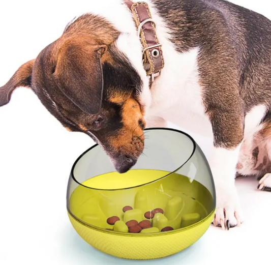 Interactive Dog Bowl – Slow Feeding to Support Health