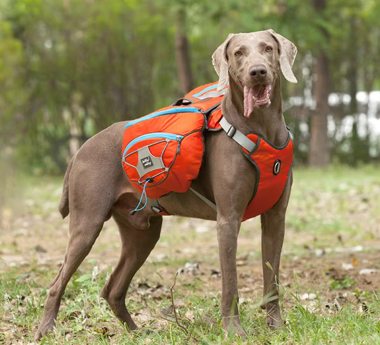 Dog Hiking Backpack with Waterproof Pockets - Portable Stretcher for Dogs for Outdoor Activities