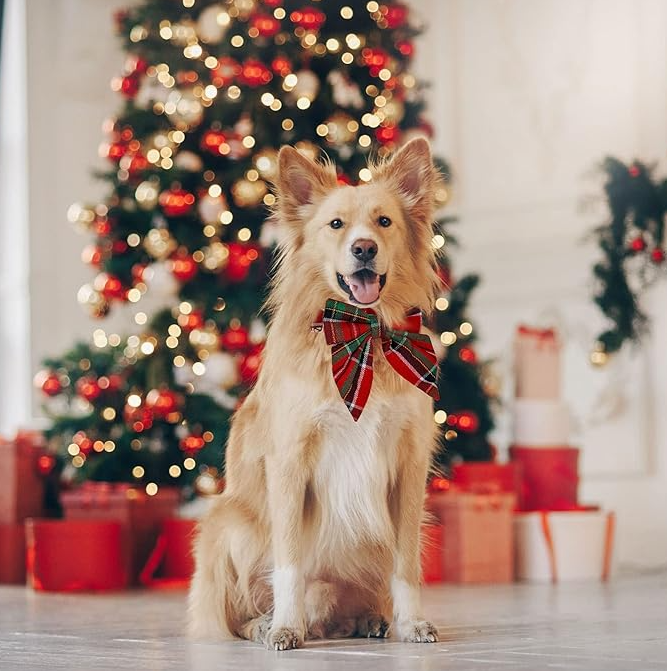 Dog Collar with Checkered Pattern and Bow for Christmas and Festive Occasions