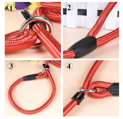 Durable Dog Leash with Carabiner for a Safe Walk