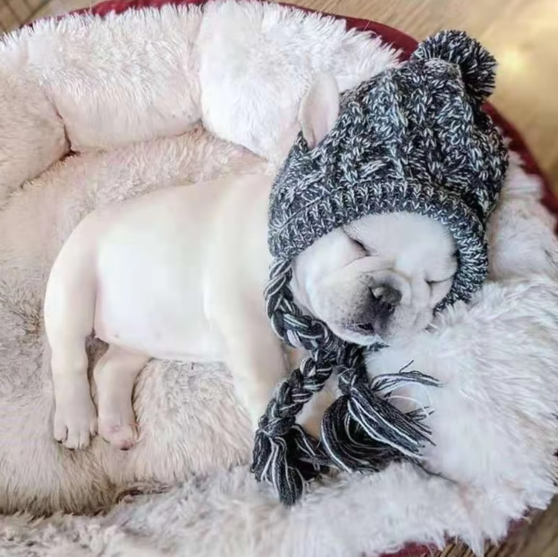 Stylish Dog Cap with Pom Pom – Warm Winter Hat for Small Dogs