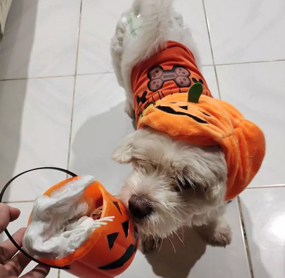 Halloween Pumpkin Costume for Dogs