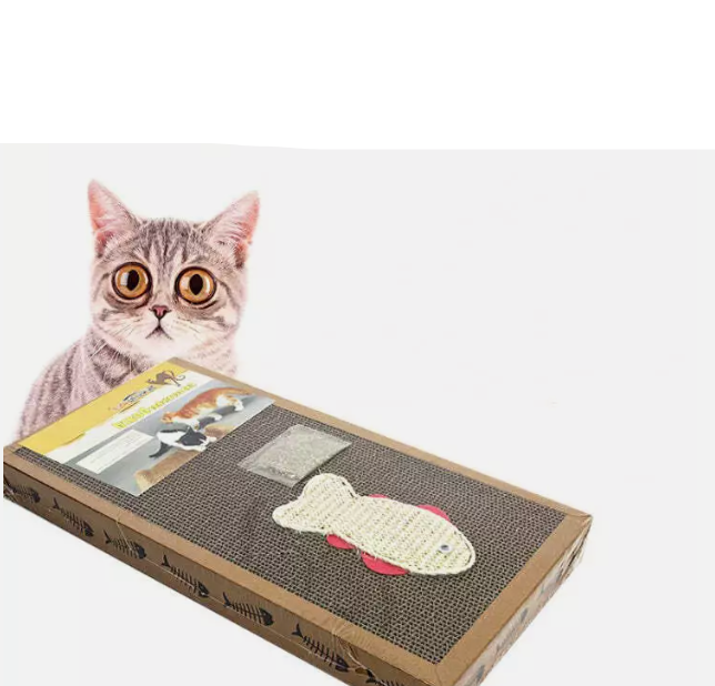 Fish-Shaped Cat Scratching Mat with Toys – Eco-Friendly and Stable